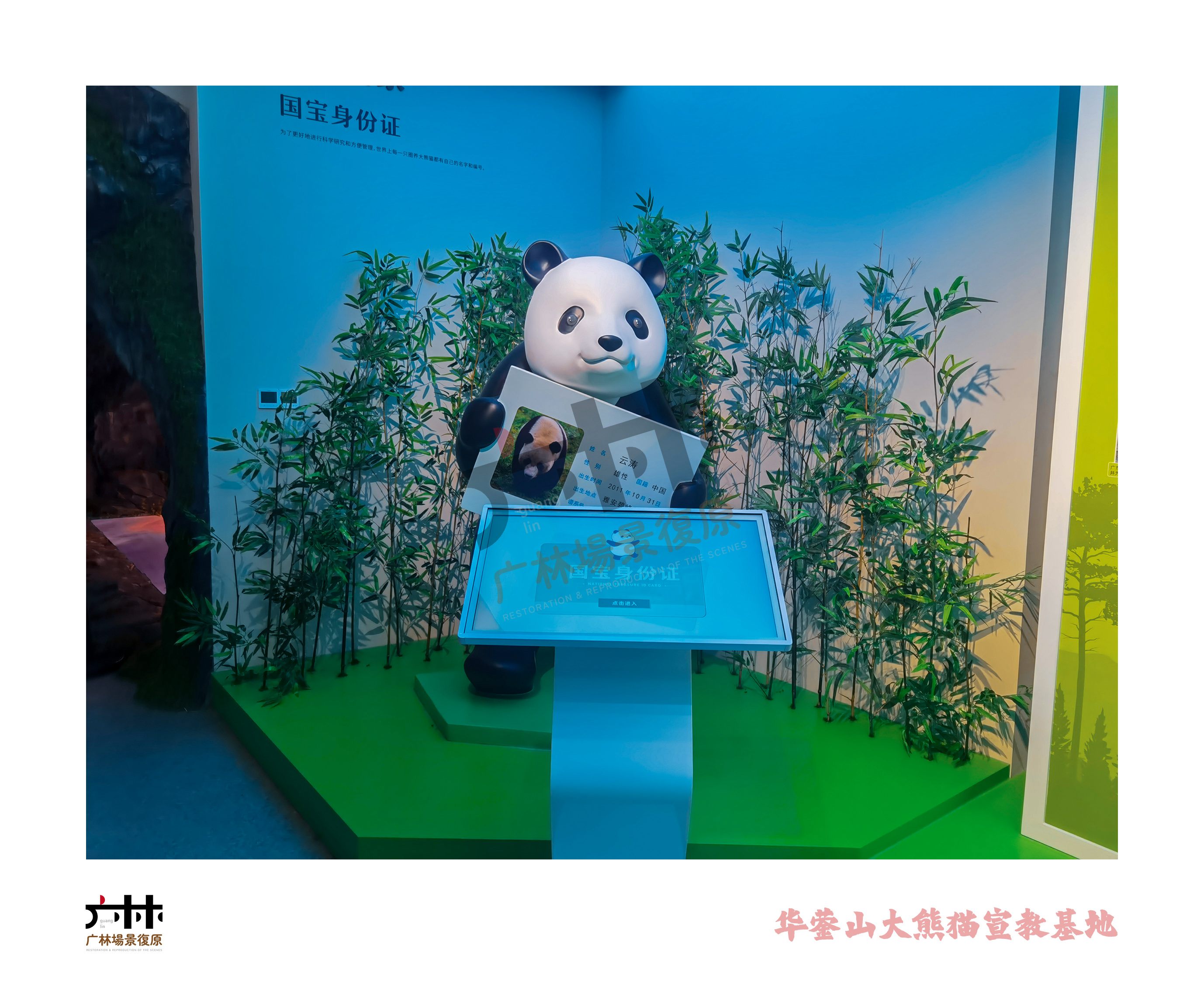 华蓥山大熊猫宣教基地